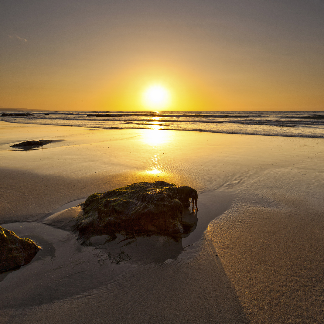 Golden Sunset